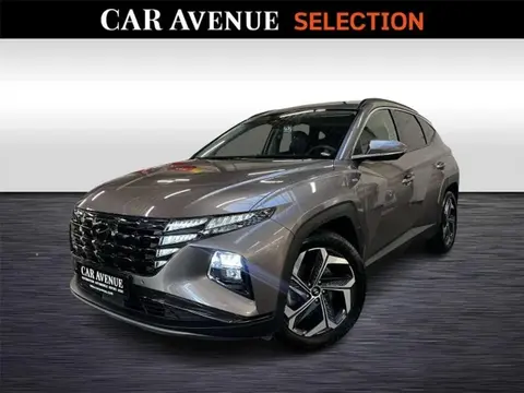 Used HYUNDAI TUCSON Diesel 2023 Ad 