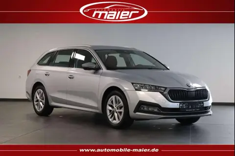 Used SKODA OCTAVIA Diesel 2022 Ad 