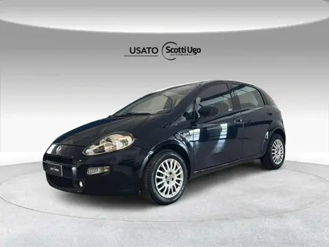 Used FIAT PUNTO LPG 2016 Ad 