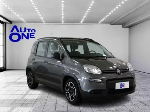 Used FIAT PANDA Hybrid 2022 Ad 