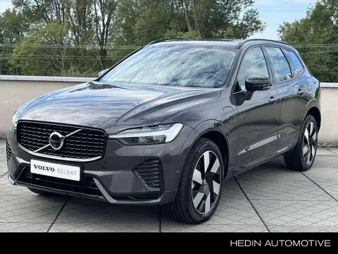 Used VOLVO XC60 Hybrid 2024 Ad 