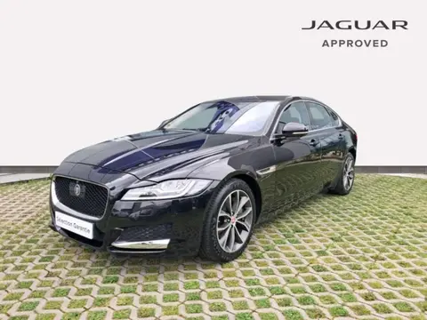 Annonce JAGUAR XF Diesel 2018 d'occasion 