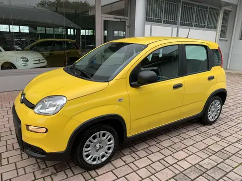 Annonce FIAT PANDA Hybride 2024 d'occasion 