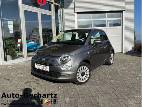 Used FIAT 500 Petrol 2021 Ad 