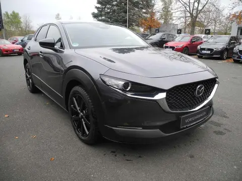 Annonce MAZDA CX-30 Hybride 2024 d'occasion 