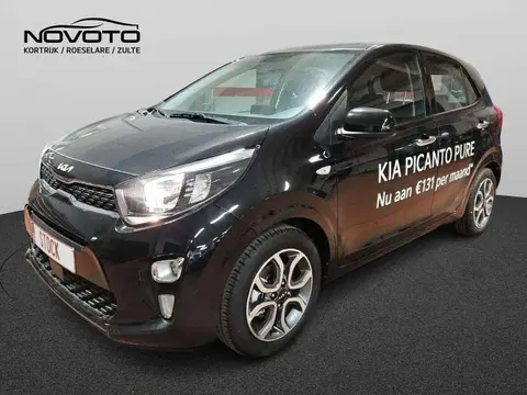 Used KIA PICANTO Petrol 2024 Ad Belgium