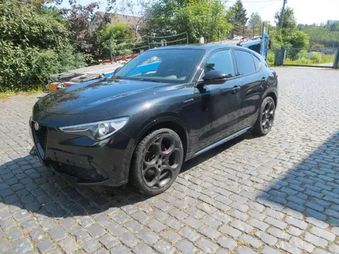 Used ALFA ROMEO STELVIO Diesel 2022 Ad 