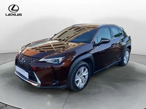 Used LEXUS UX Hybrid 2020 Ad 