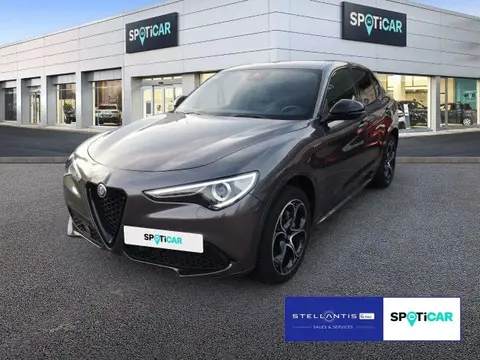 Annonce ALFA ROMEO STELVIO Essence 2022 d'occasion 