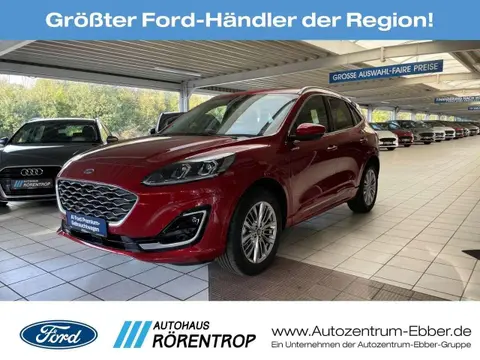 Annonce FORD KUGA Hybride 2023 d'occasion 