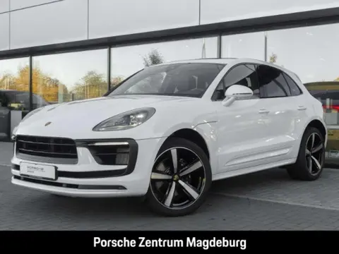 Used PORSCHE MACAN Petrol 2023 Ad 