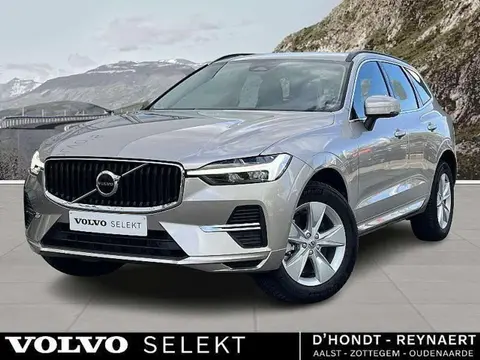 Used VOLVO XC60 Hybrid 2023 Ad 