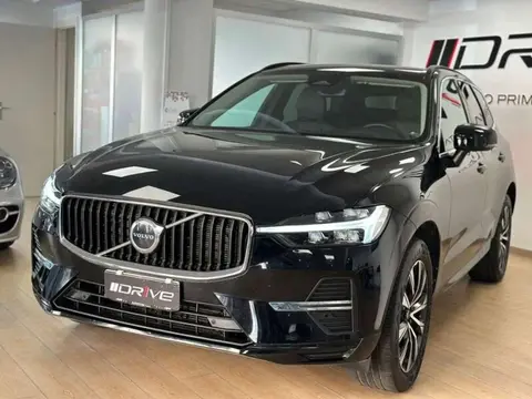 Annonce VOLVO XC60 Hybride 2023 d'occasion 