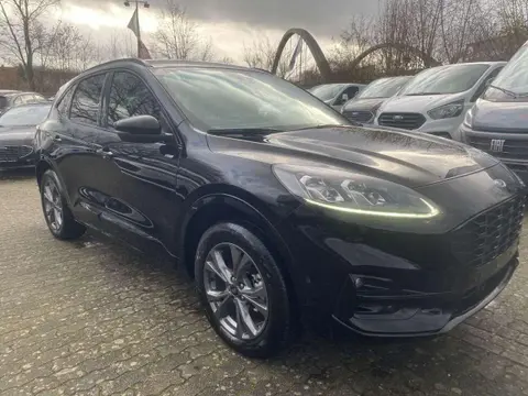 Annonce FORD KUGA Hybride 2024 d'occasion 