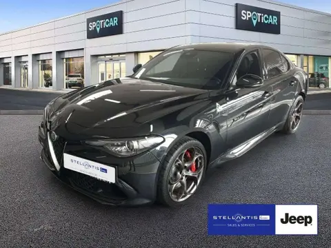 Used ALFA ROMEO GIULIA Petrol 2024 Ad 