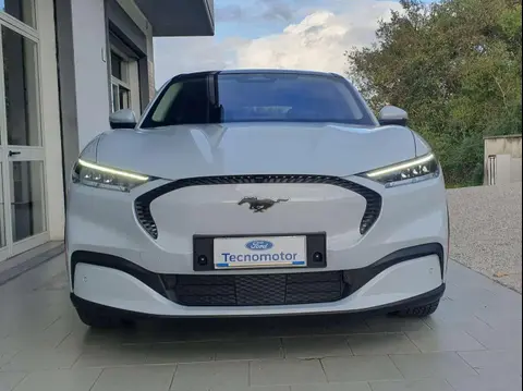 Annonce FORD MUSTANG Électrique 2023 d'occasion 