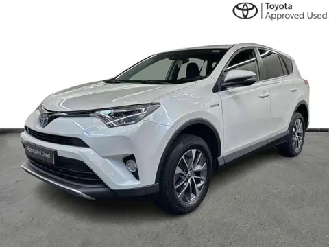 Used TOYOTA RAV4 Hybrid 2019 Ad 