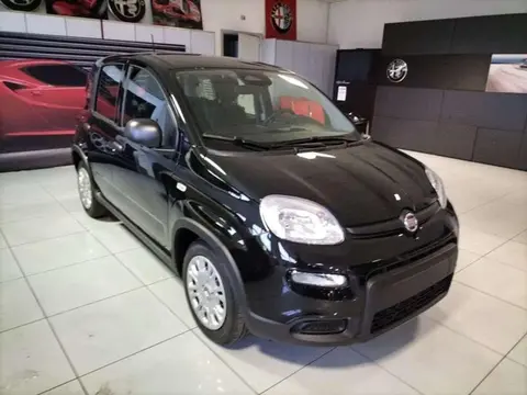 Used FIAT PANDA Hybrid 2024 Ad 