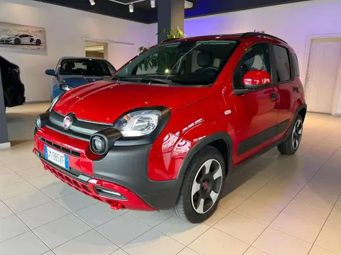 Used FIAT PANDA Hybrid 2023 Ad 