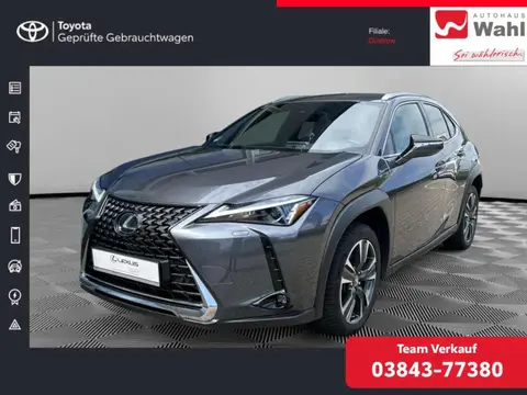 Annonce LEXUS UX Hybride 2023 d'occasion 