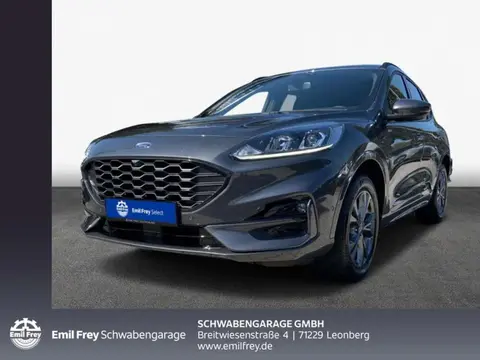 Used FORD KUGA Hybrid 2022 Ad 