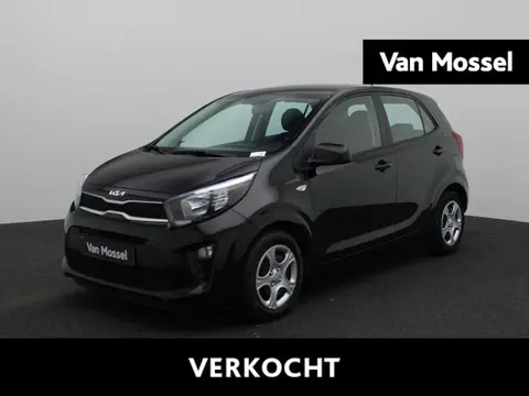 Used KIA PICANTO Petrol 2022 Ad 