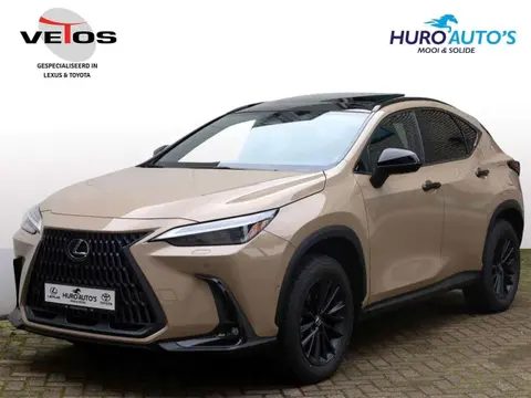 Used LEXUS NX Hybrid 2024 Ad 