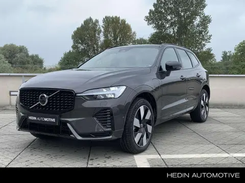 Used VOLVO XC60 Hybrid 2024 Ad 