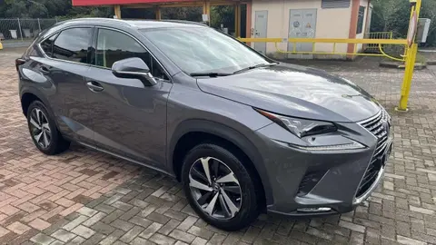 Annonce LEXUS NX Hybride 2020 d'occasion 