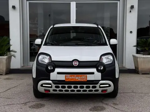 Annonce FIAT PANDA Hybride 2024 d'occasion 