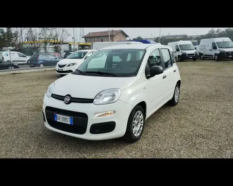 Used FIAT PANDA Hybrid 2021 Ad 