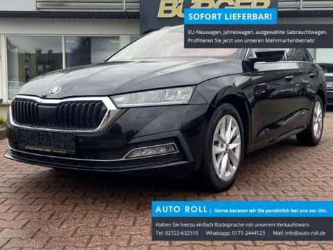 Used SKODA OCTAVIA Petrol 2021 Ad 