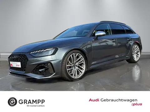 Used AUDI RS4 Petrol 2023 Ad 