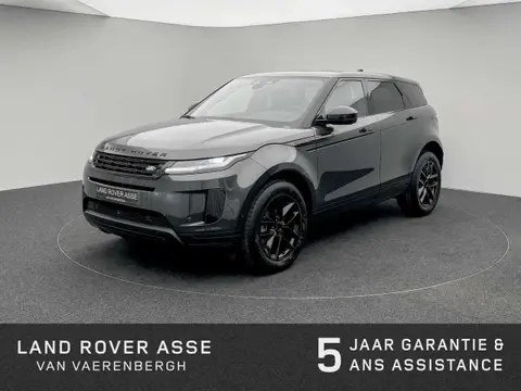 Used LAND ROVER RANGE ROVER EVOQUE Petrol 2024 Ad Belgium