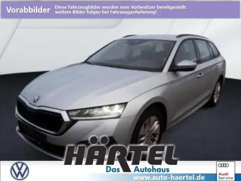 Annonce SKODA OCTAVIA Diesel 2021 d'occasion 