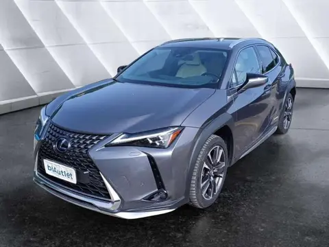 Used LEXUS UX Hybrid 2019 Ad 