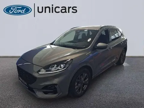 Used FORD KUGA Diesel 2022 Ad 