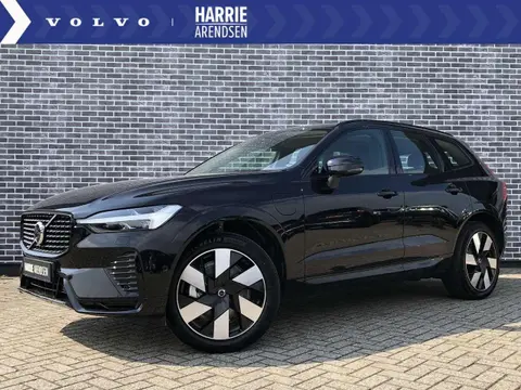 Used VOLVO XC60 Hybrid 2024 Ad 