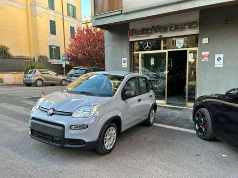 Annonce FIAT PANDA Hybride 2024 d'occasion 