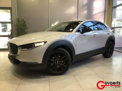 Used MAZDA CX-30 Petrol 2024 Ad Belgium