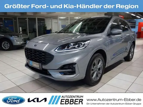 Annonce FORD KUGA Hybride 2023 d'occasion 