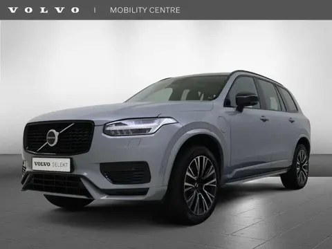 Used VOLVO XC90 Hybrid 2024 Ad 