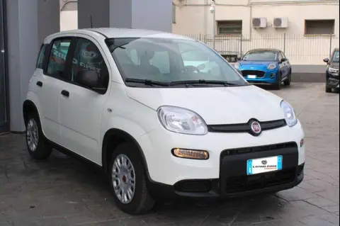 Annonce FIAT PANDA Hybride 2023 d'occasion 