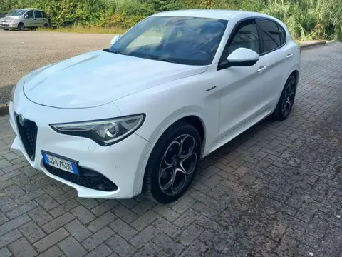 Used ALFA ROMEO STELVIO Diesel 2020 Ad 