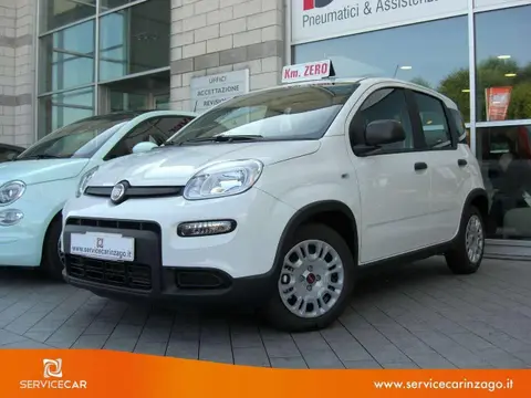 Annonce FIAT PANDA Hybride 2024 d'occasion 