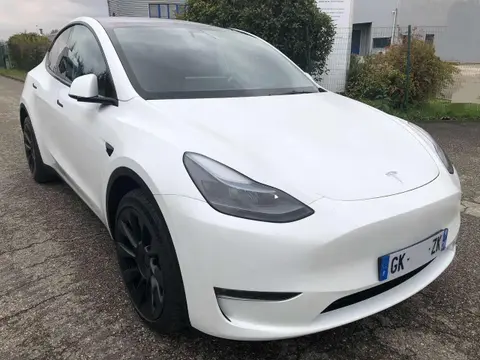 Used TESLA MODEL Y Electric 2023 Ad 