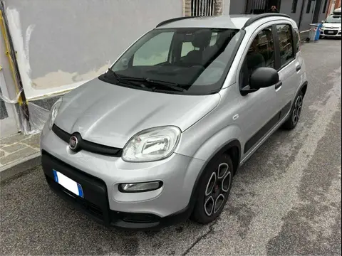 Used FIAT PANDA Hybrid 2021 Ad 