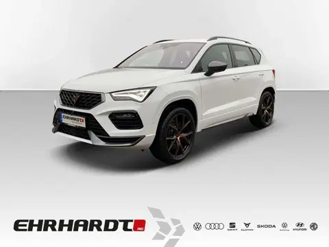 Annonce CUPRA ATECA Essence 2024 d'occasion 