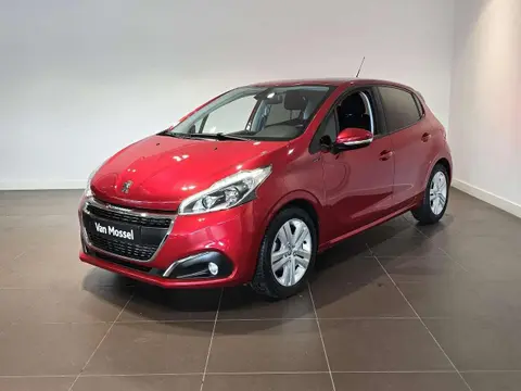 Annonce PEUGEOT 208 Essence 2019 d'occasion 