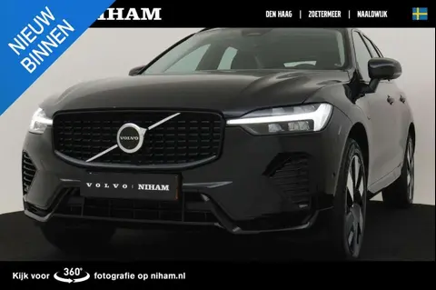 Annonce VOLVO XC60 Hybride 2024 d'occasion 